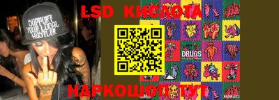 молекула духа Камышлов