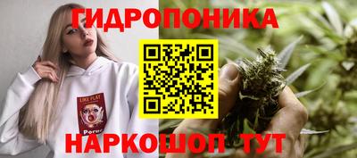 молекула духа Камышлов