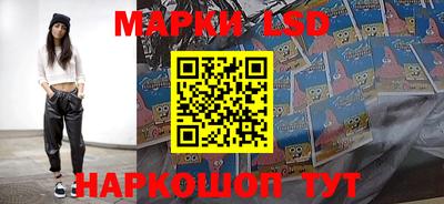 молекула духа Камышлов