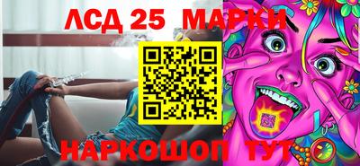 молекула духа Камышлов