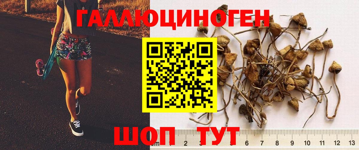 Псилоцибиновые грибы мицелий  Псилоцибиновые грибы мухоморы  Татарск  сколько стоит  Вход с VPN 
